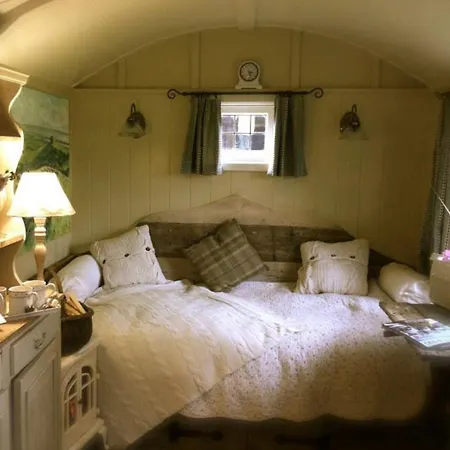 Beech Shepherds Hut Camping
