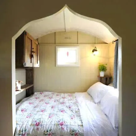 Beech Shepherds Hut York